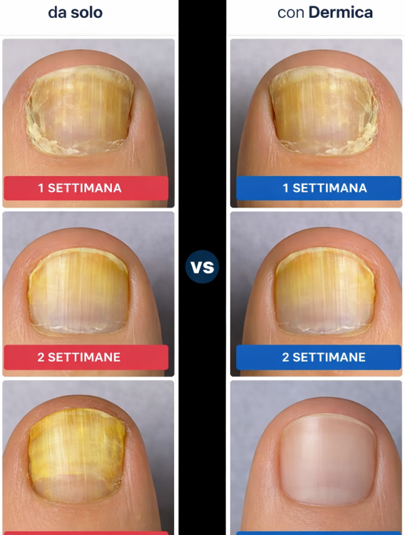 82626989-7d04-47ef-9ea2-6644cde95c05